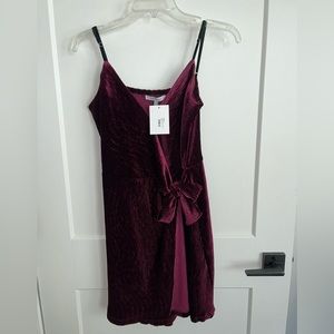 Naked Zebra Maroon Velvet Wraparound Dress